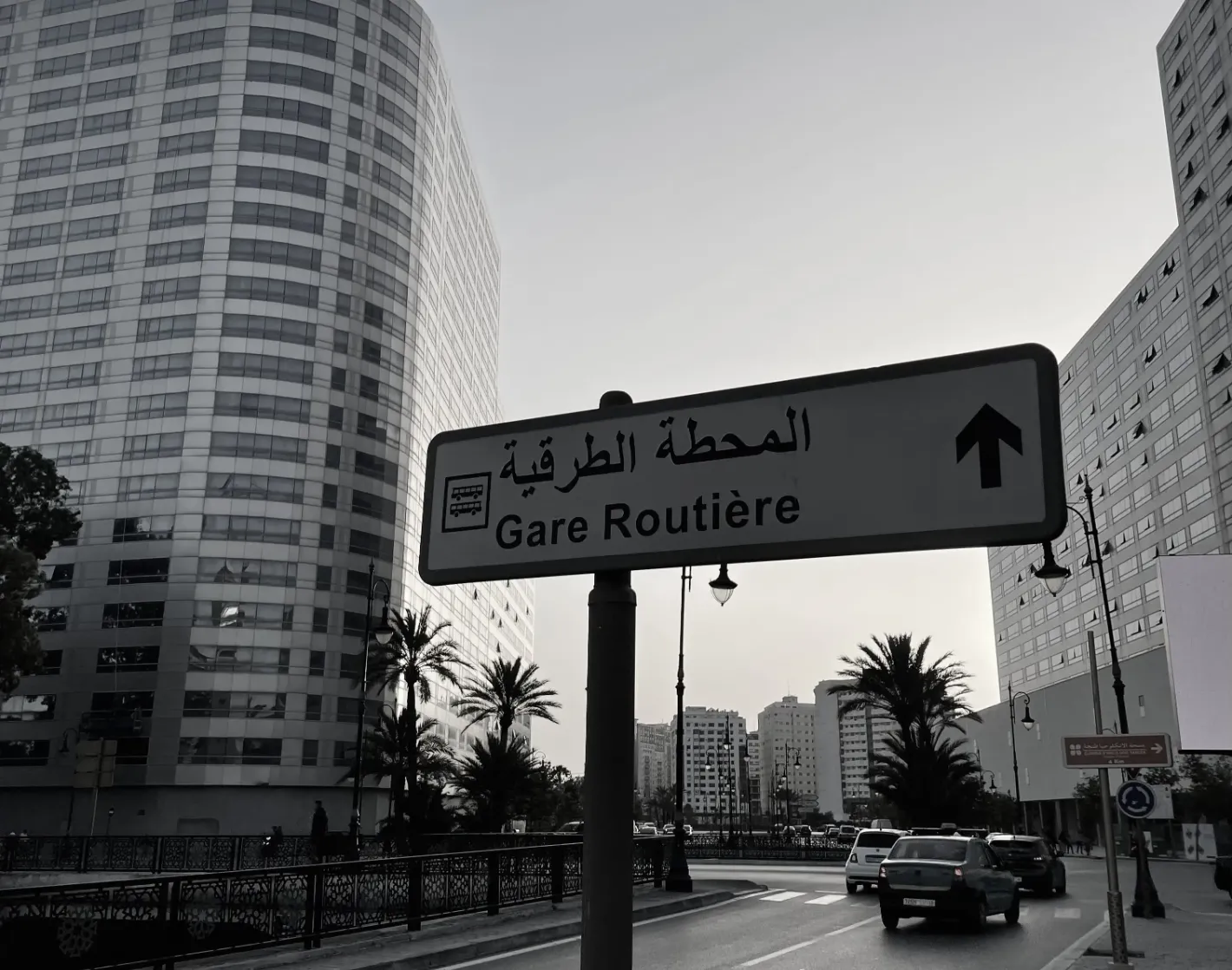 Парк Арабской Лиги